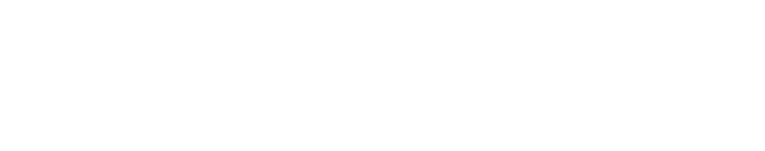 Multicultural Women's National Conference